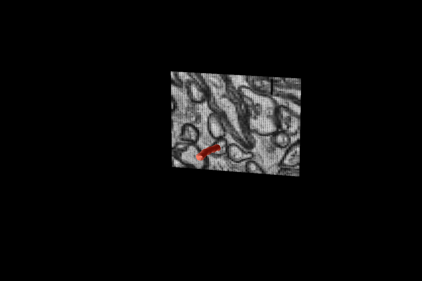 H01 · Human cortex 3D reconstruction