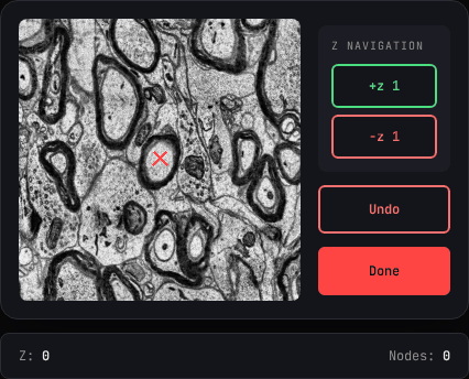 H01 · Human cortex tracing GIF