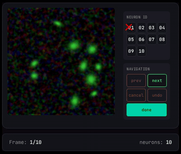 Neuron Tracking sequence
