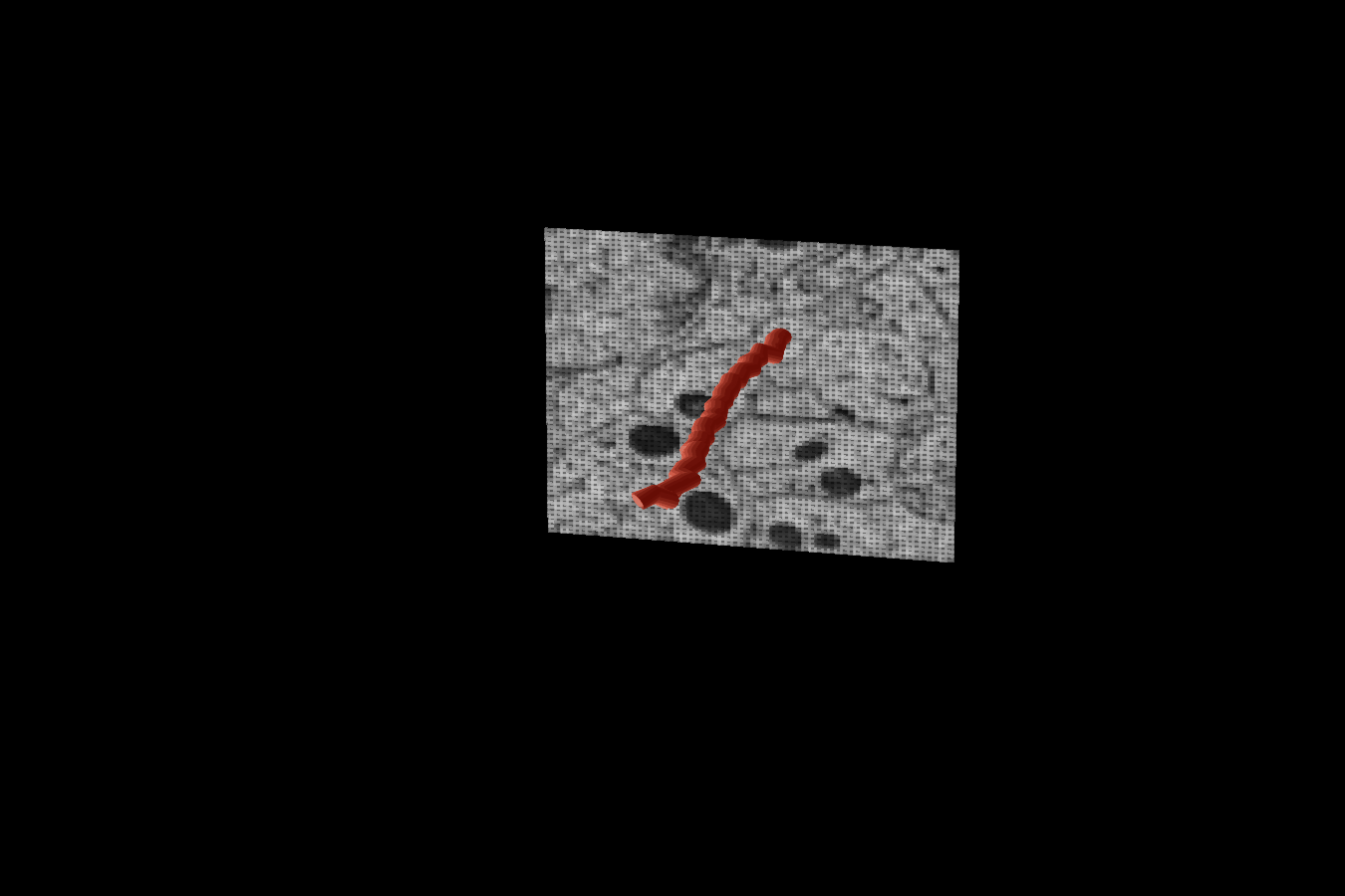C. elegans · Witvliet nerve ring 3D reconstruction