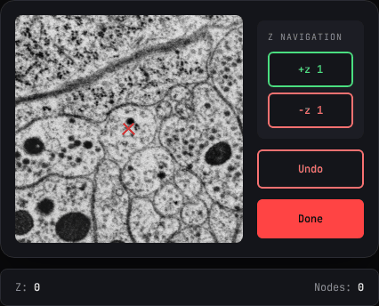C. elegans · Witvliet nerve ring tracing GIF